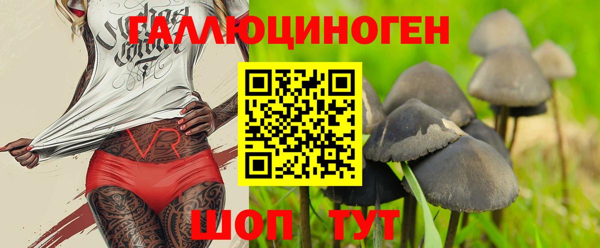Псилоцибиновые грибы Magic Shrooms  Вход с VPN  Галлюциногенные грибы прущие грибы  Северобайкальск 
